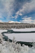athabasca river.jpg